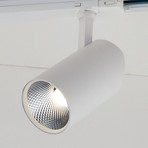 LED-Schienen-Strahler Action 3.000K