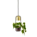 Gullak Plant Pendant Gold - Bloomingville