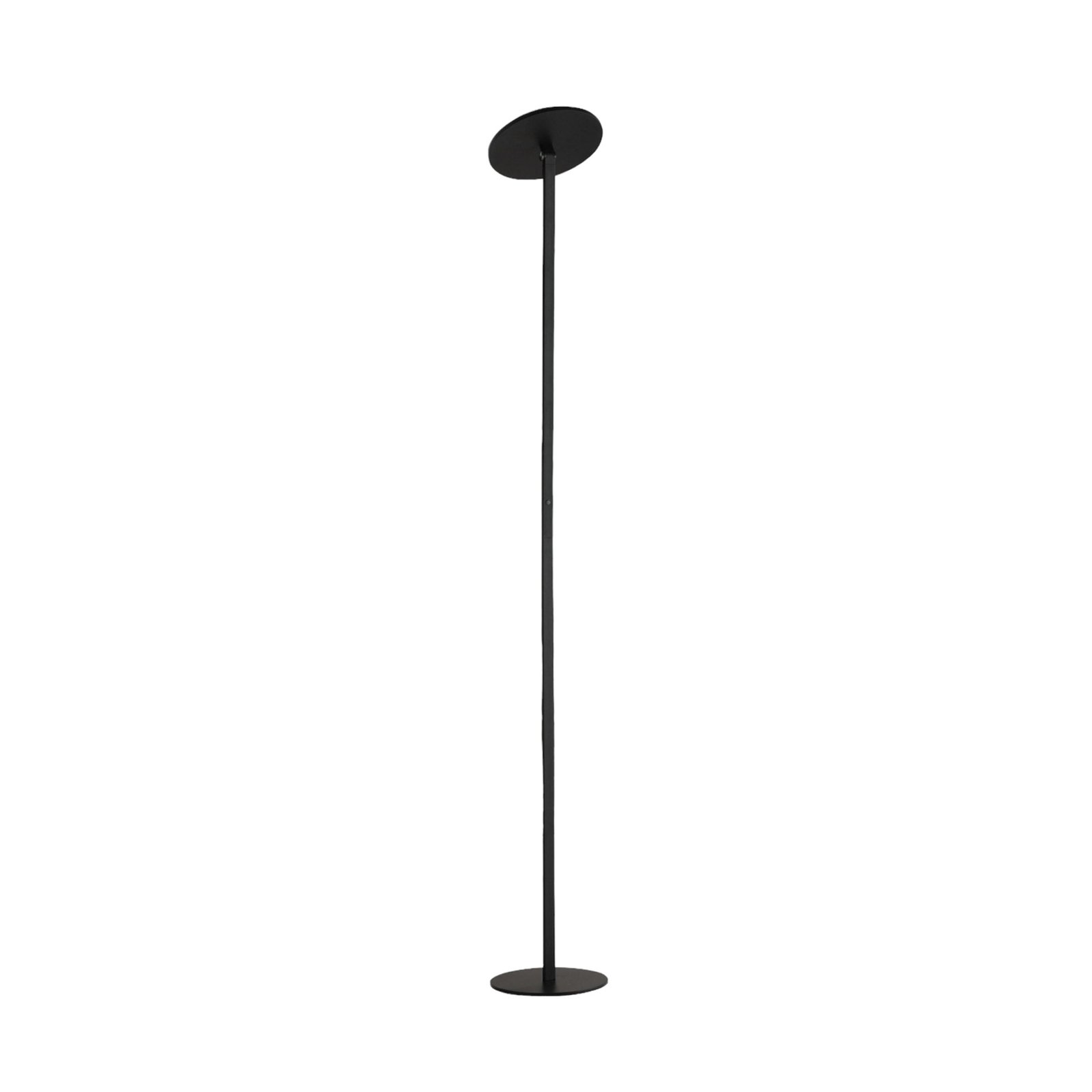 Regina LED-lattiavalaisin, musta, CCT, himmennettävä, korkeus 180 cm