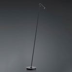 LED-golvlampa Tom, dimbar, svart