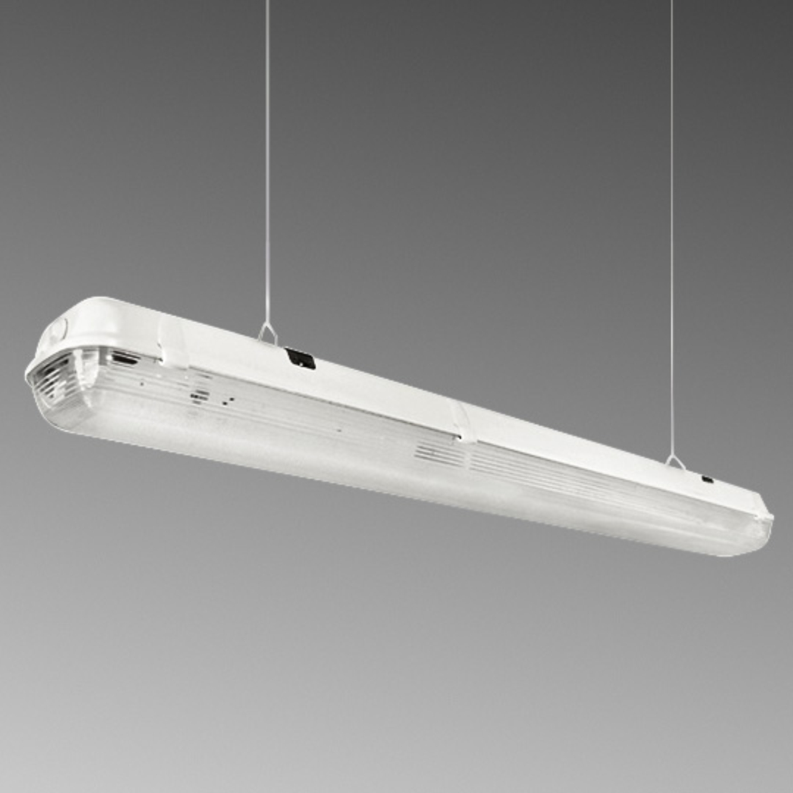 EGG Moisture-proof LED wraparound light, 65 W, polycarbonate, inox, 65 W, energy efficiency: A+, L: 157.5 cm, W: 13.5 cm, H: 9 cm
