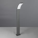 Beja LED path light, anthracite, aluminium, height 100 cm
