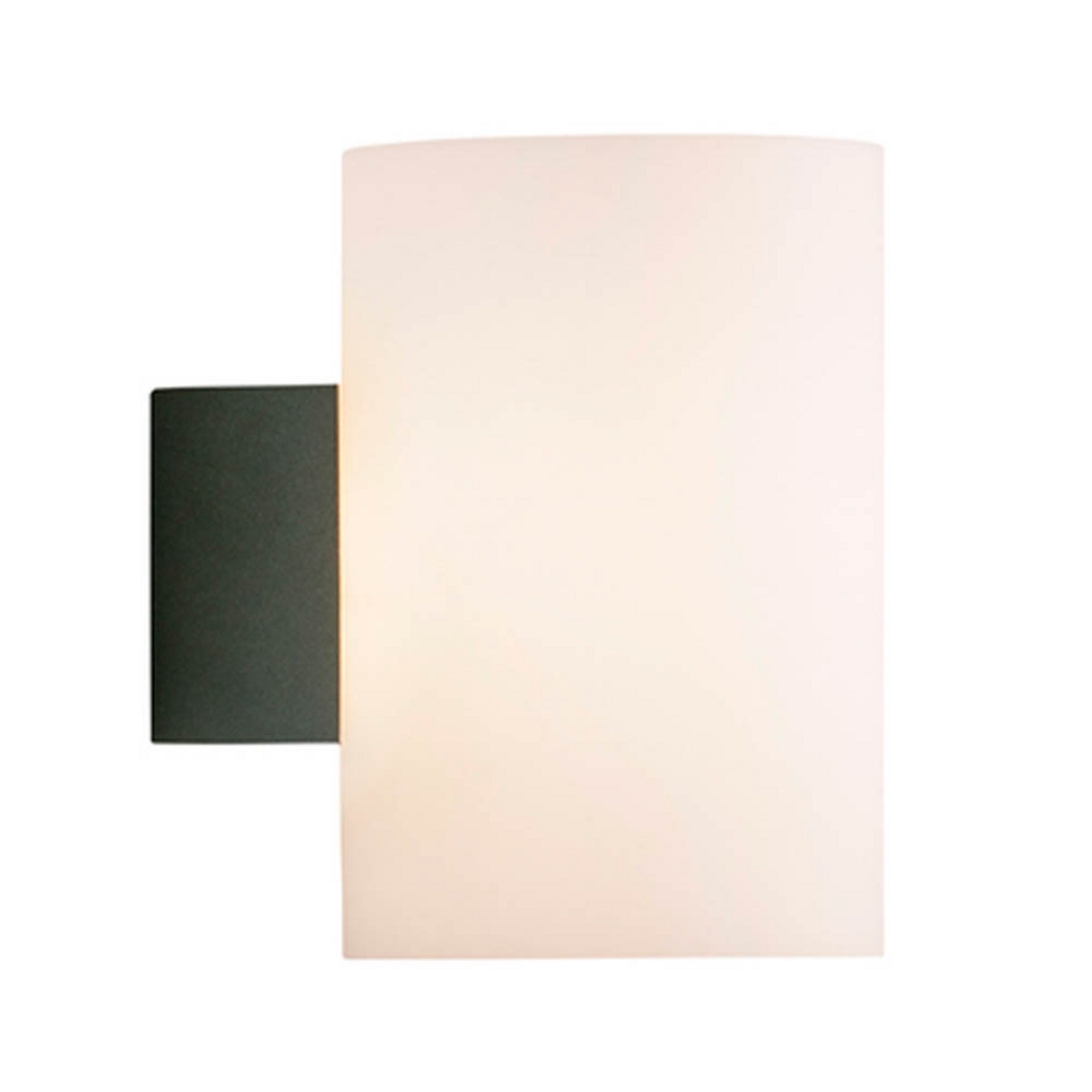 Evoke Wall Lamp IP44 Large Anthracite/Opal - Herstal