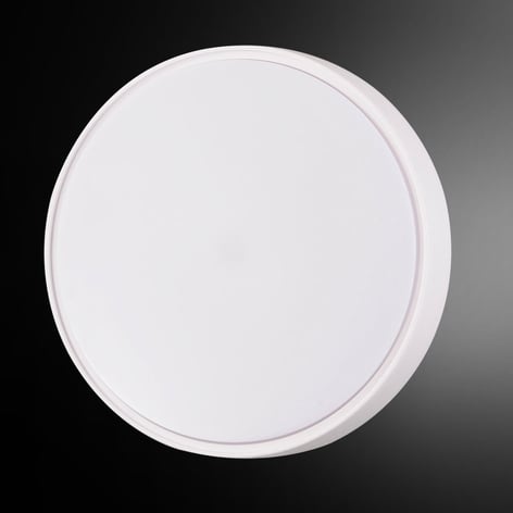 LED-plafondlamp Hatton, helder licht, IP65 30cm