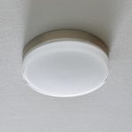 BEGA 12128 LED ceiling light DALI 930 steel 26cm