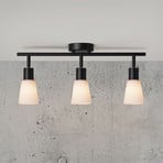 Cole plafondlamp van glas en metaal, 3-lamps