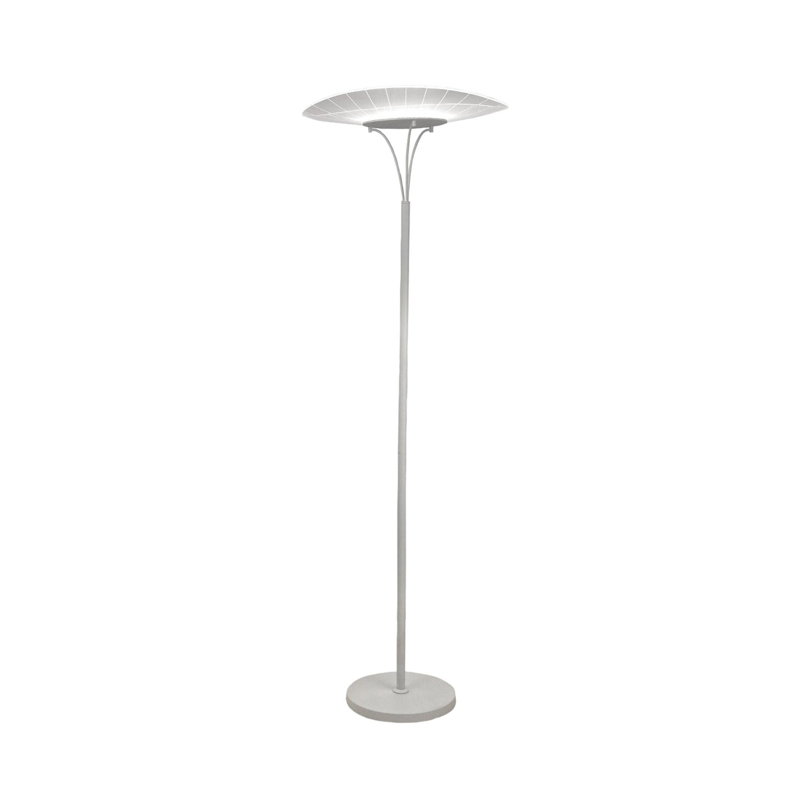 LED подова лампа Vela, бяла/прозрачна, 175 см, акрил, димер