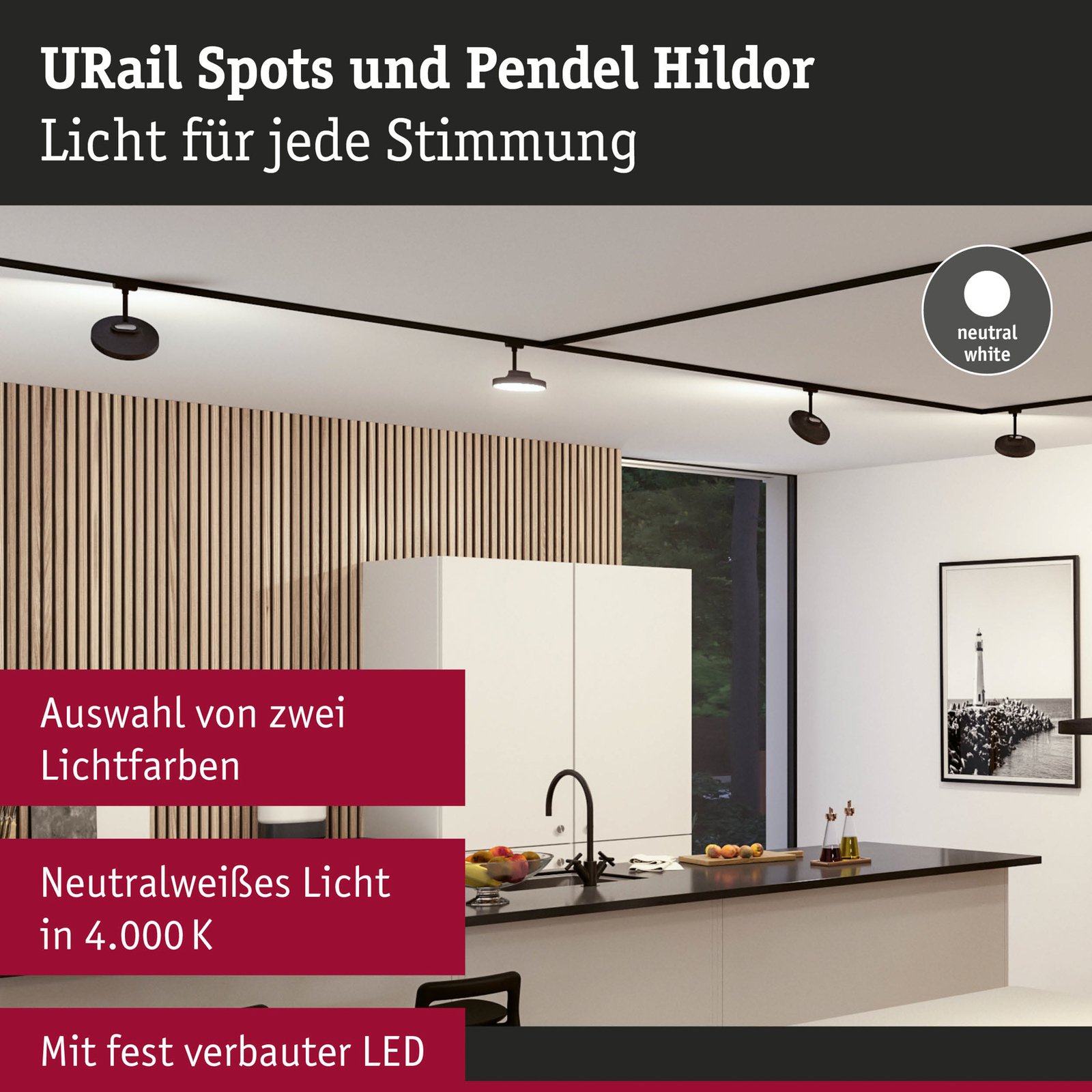 Paulmann URail Hildor LED-Spot schwarz 4.000K