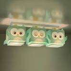 Dalber Little Owl Kinder-Deckenlampe im Eulenmotiv