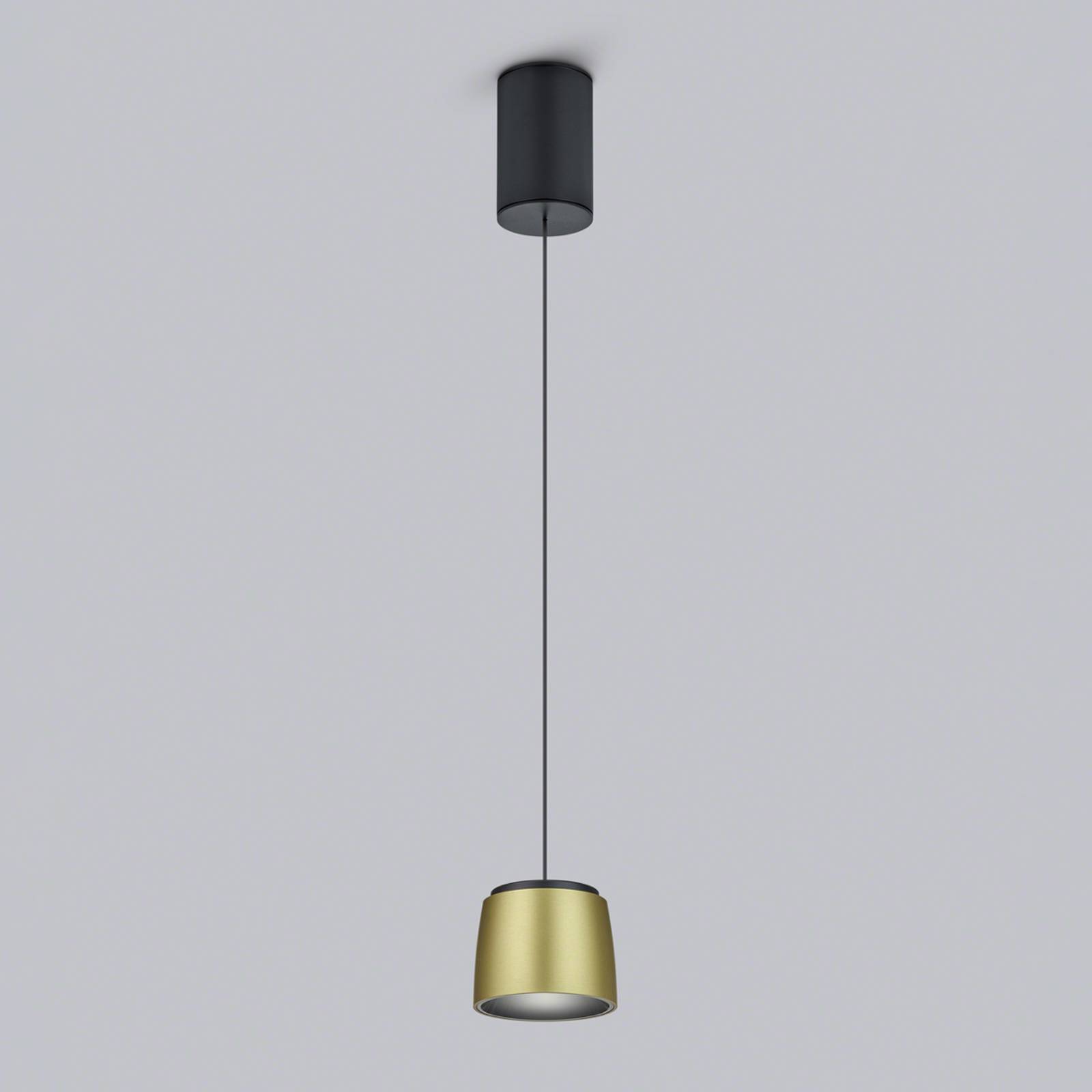 Helestra Ove LED-hængelampe Ø9,5cm guld-sort