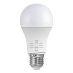 E27 11W Lampada LED A60 CCT 2,700/4,000/6,500K
