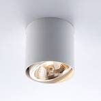 Arcchio Vali ceiling spotlight, white
