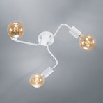 Deckenleuchte Diallo dreiflammig