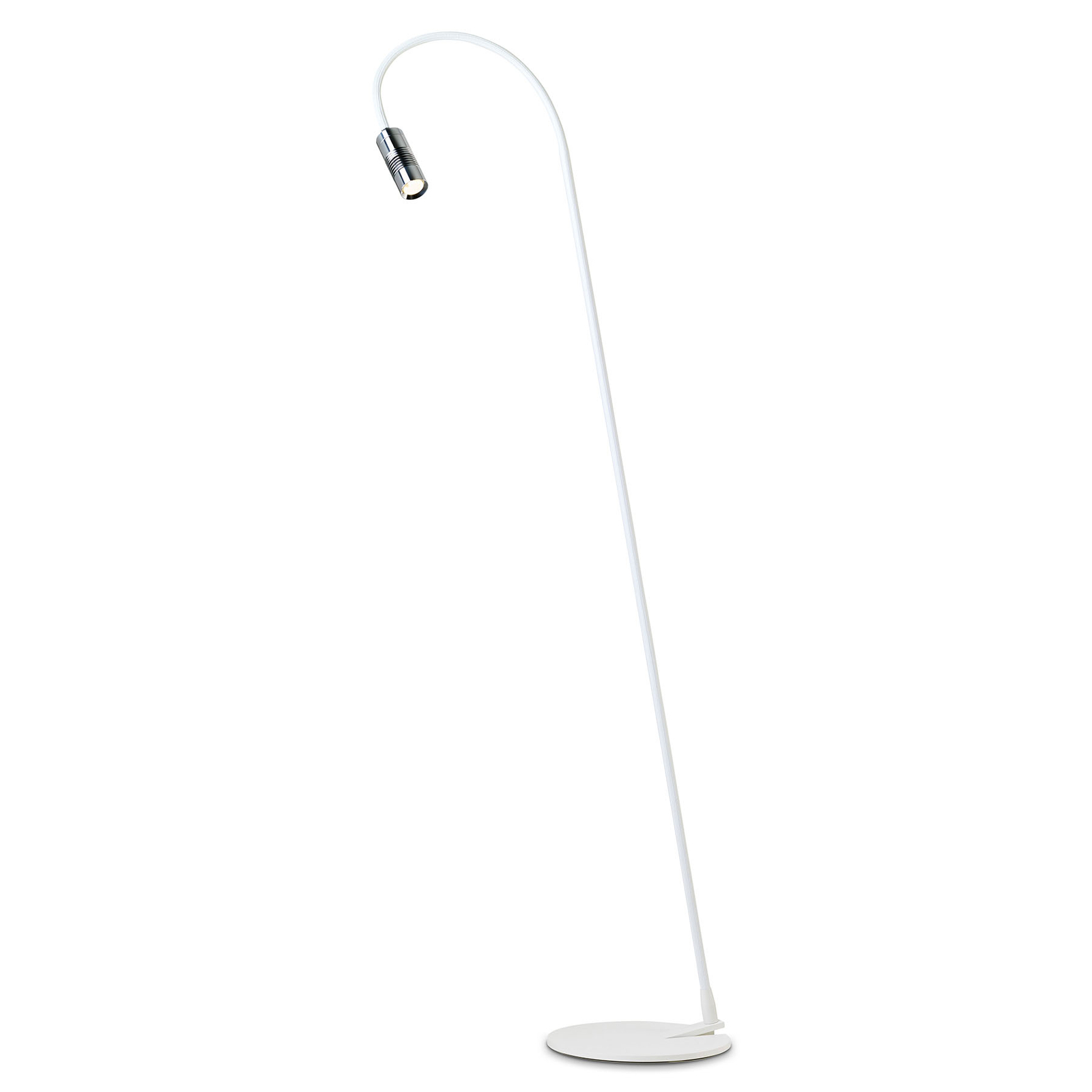 OLIGO A little bit colour Stehlampe Kopf chrom