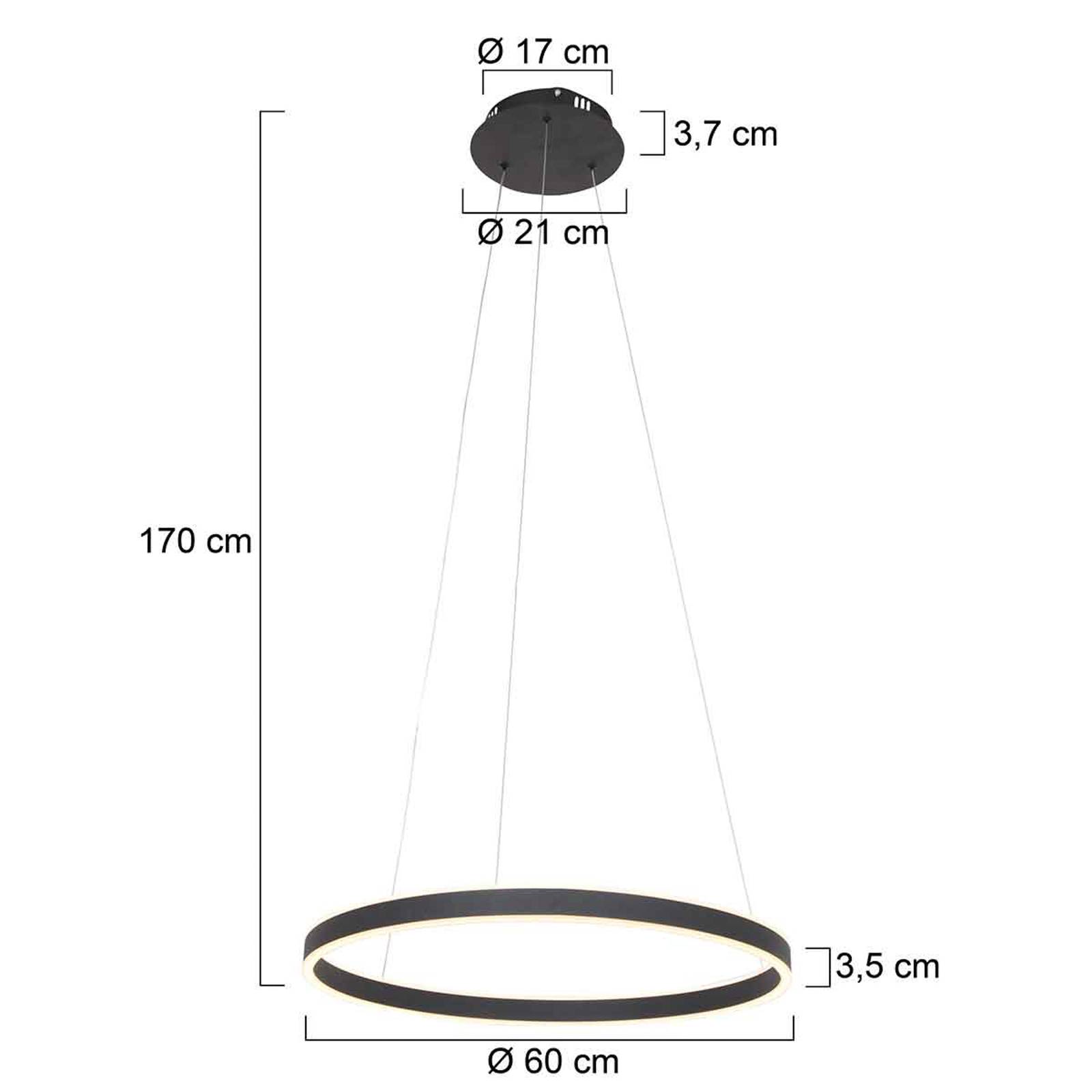 steinhauer suspension led ringlux, ø 60 cm, à 2 lampes, noire