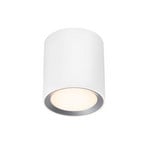 Landon Smart Stropní Lampa Long White - Nordlux