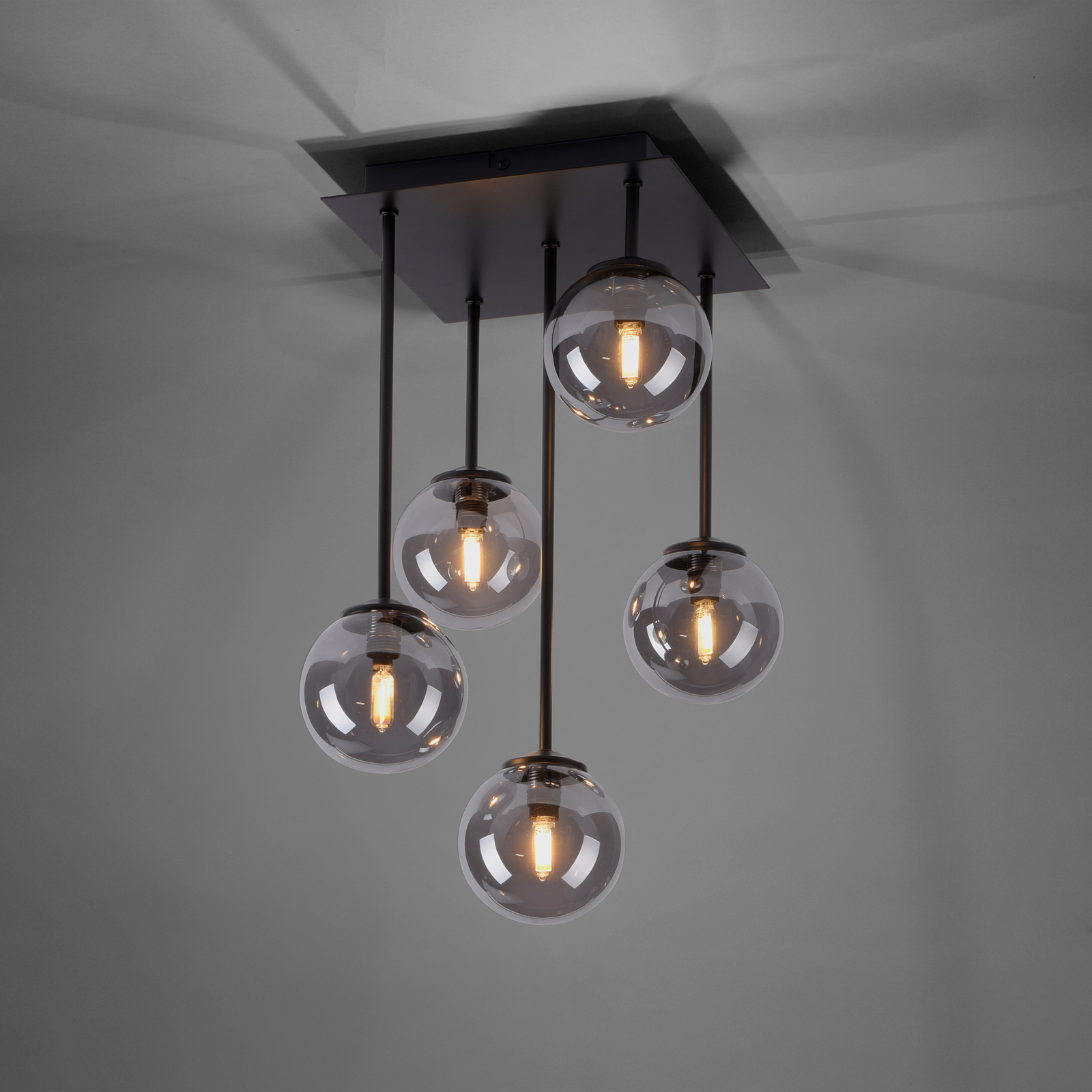 Halve cirkel Dankbaar Induceren Paul Neuhaus Widow LED plafondlamp, 5-lamps | Lampen24.nl