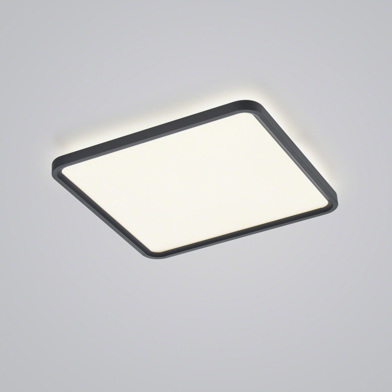 Helestra Vesp LED panel backlight 61x61cm fekete