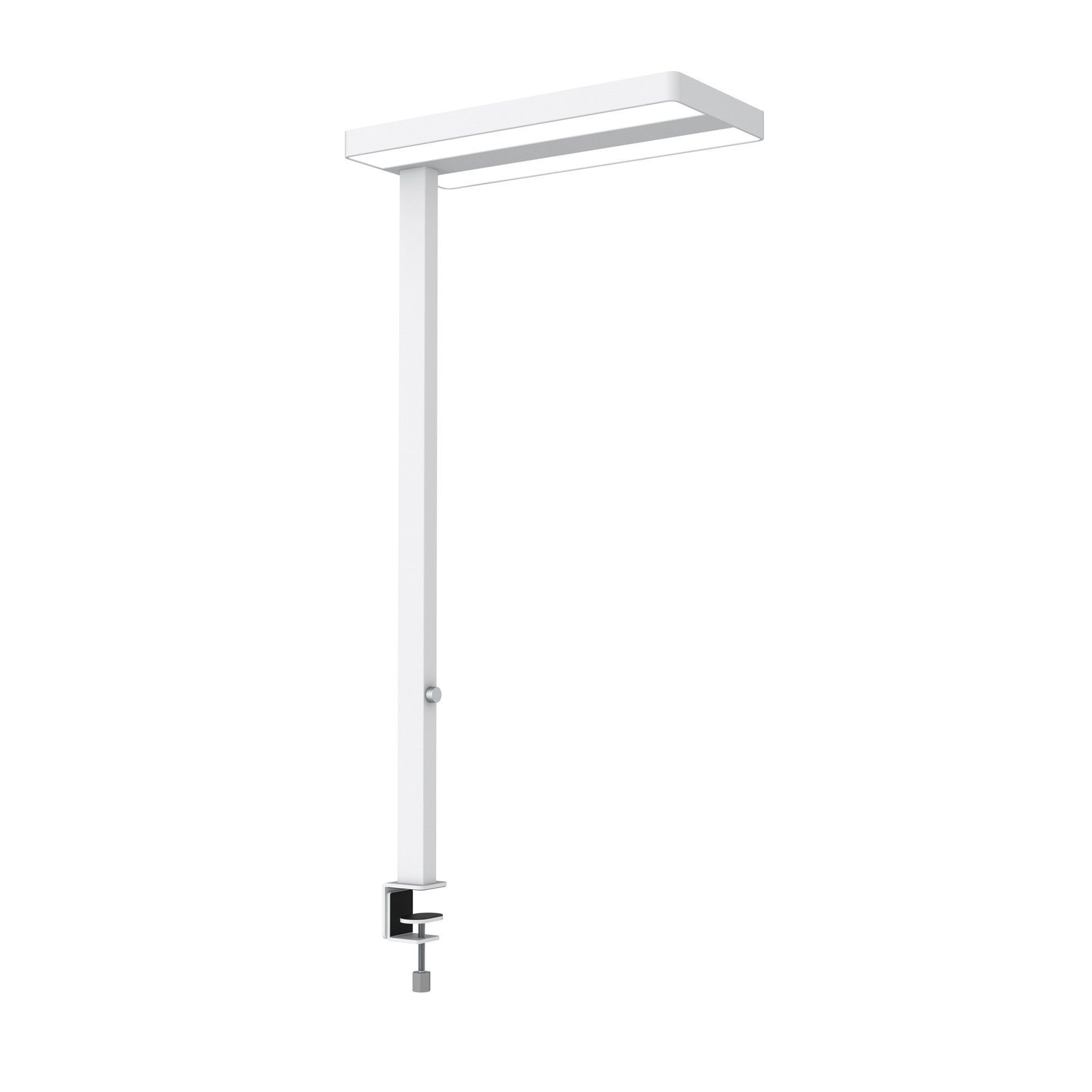 Lampe de table LED MAULjaval, blanc, pied à pince
