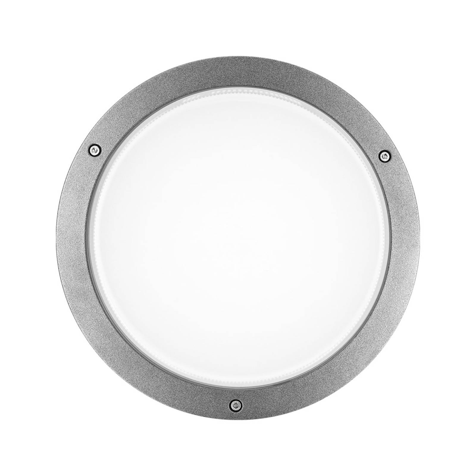 LED-Wandlampe Bliz Round 30 3.000K grau dimmbar günstig online kaufen