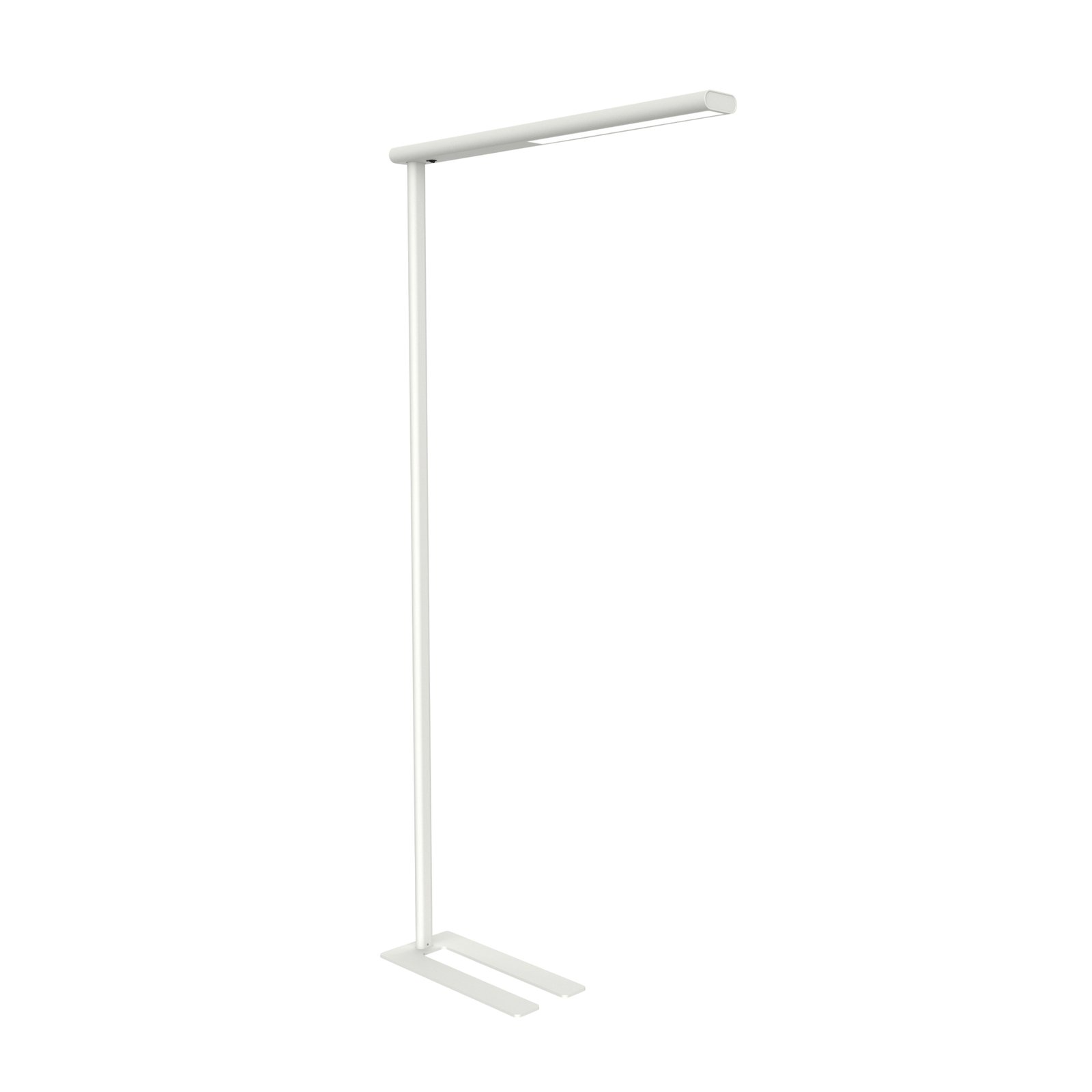 Lampadaire de bureau LED MAULjet, blanc