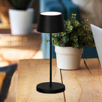 Lampada LED da tavolo ricaricabile Asena Pro nero sabbia, 30 cm metallo IP54