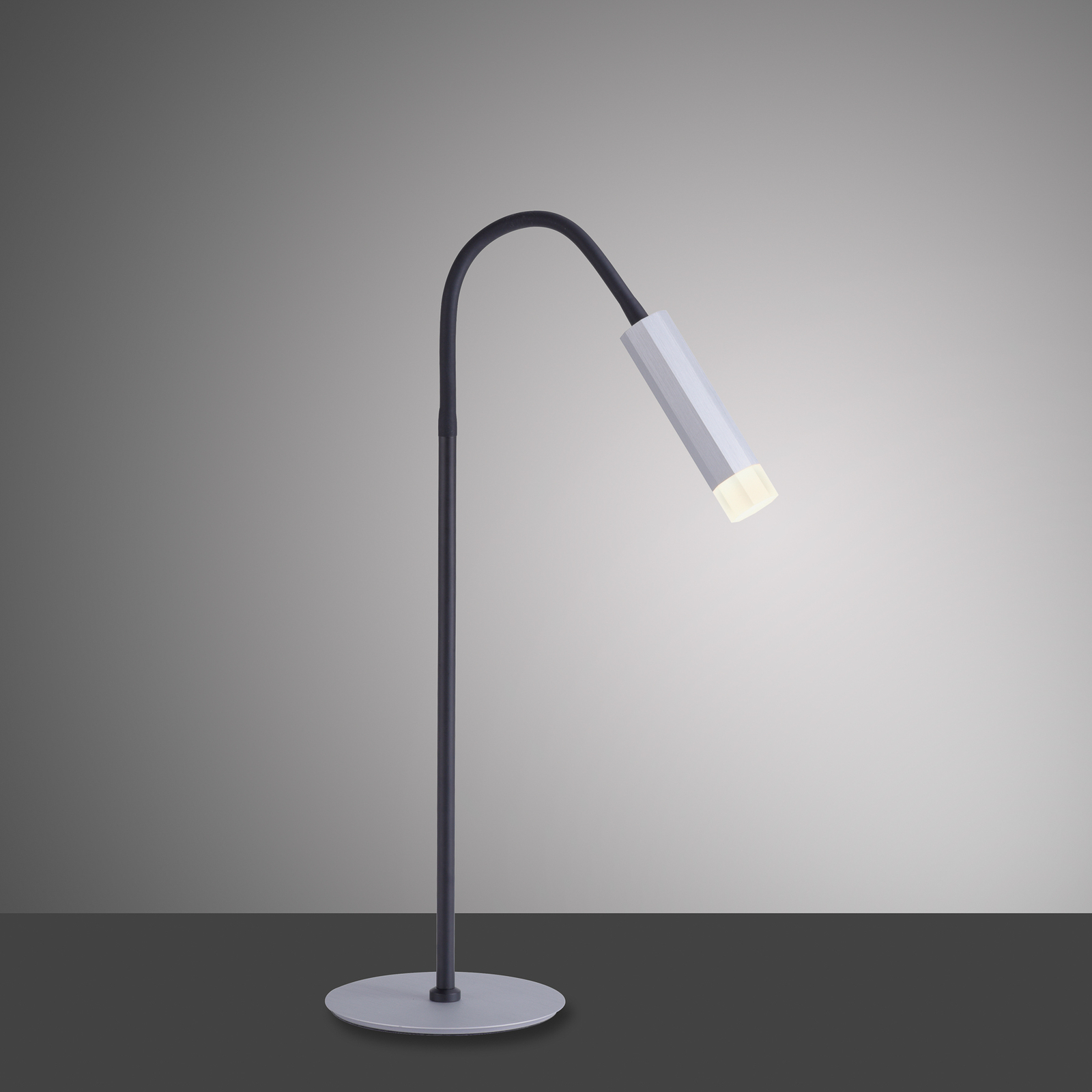 Paul Neuhaus Pure-Gemin lámpara de mesa LED plata
