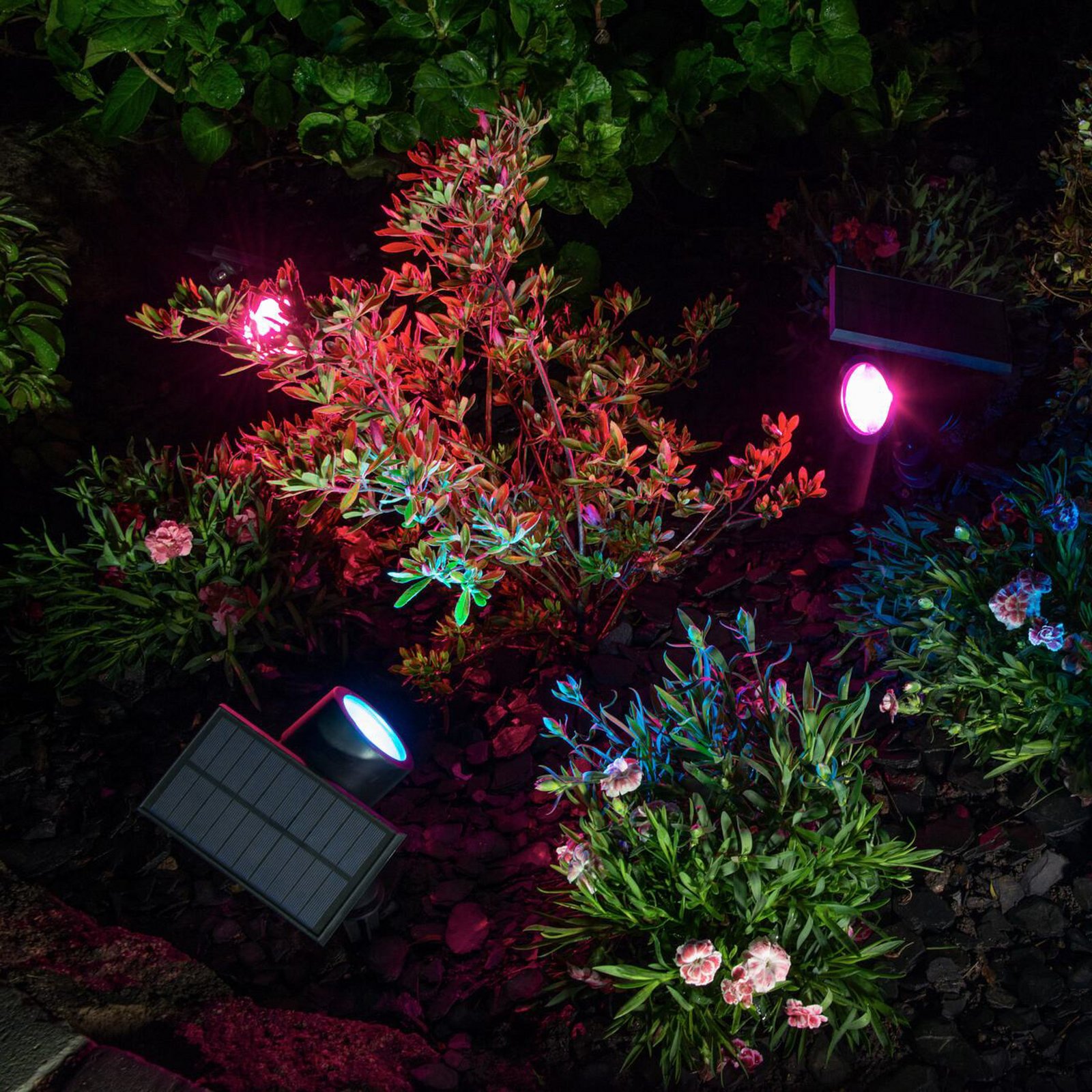 OSRAM SMART+ Solar-LED-Spot, schwarz, Erdspieß, RGB CCT IP44