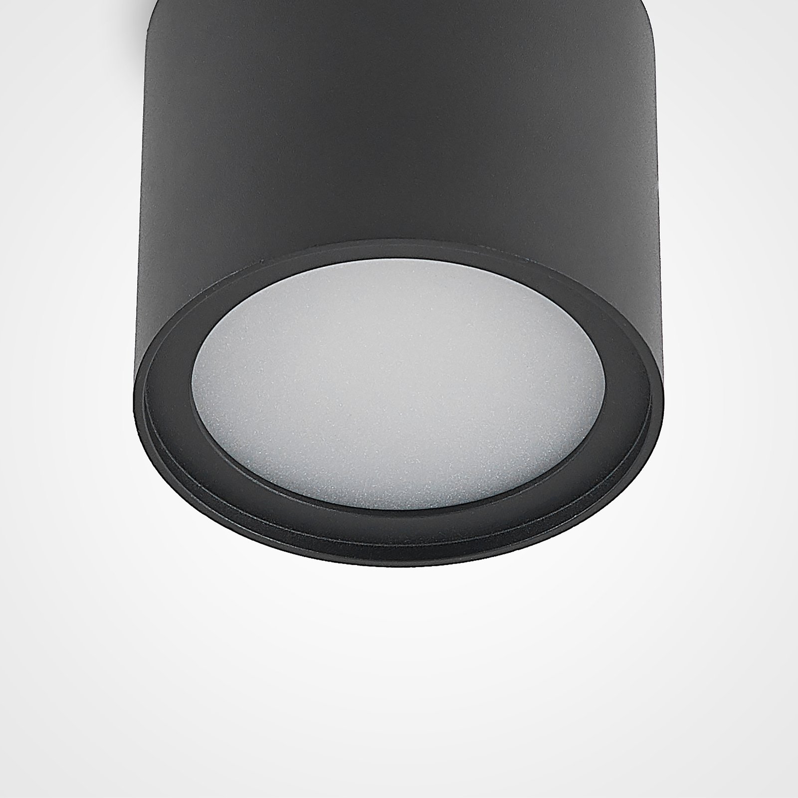 Walisa Plafondlamp Black/Frosted - Arcchio