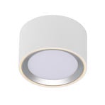 Fallon Reflektor Sufitowy White/Brushed Steel - Nordlux
