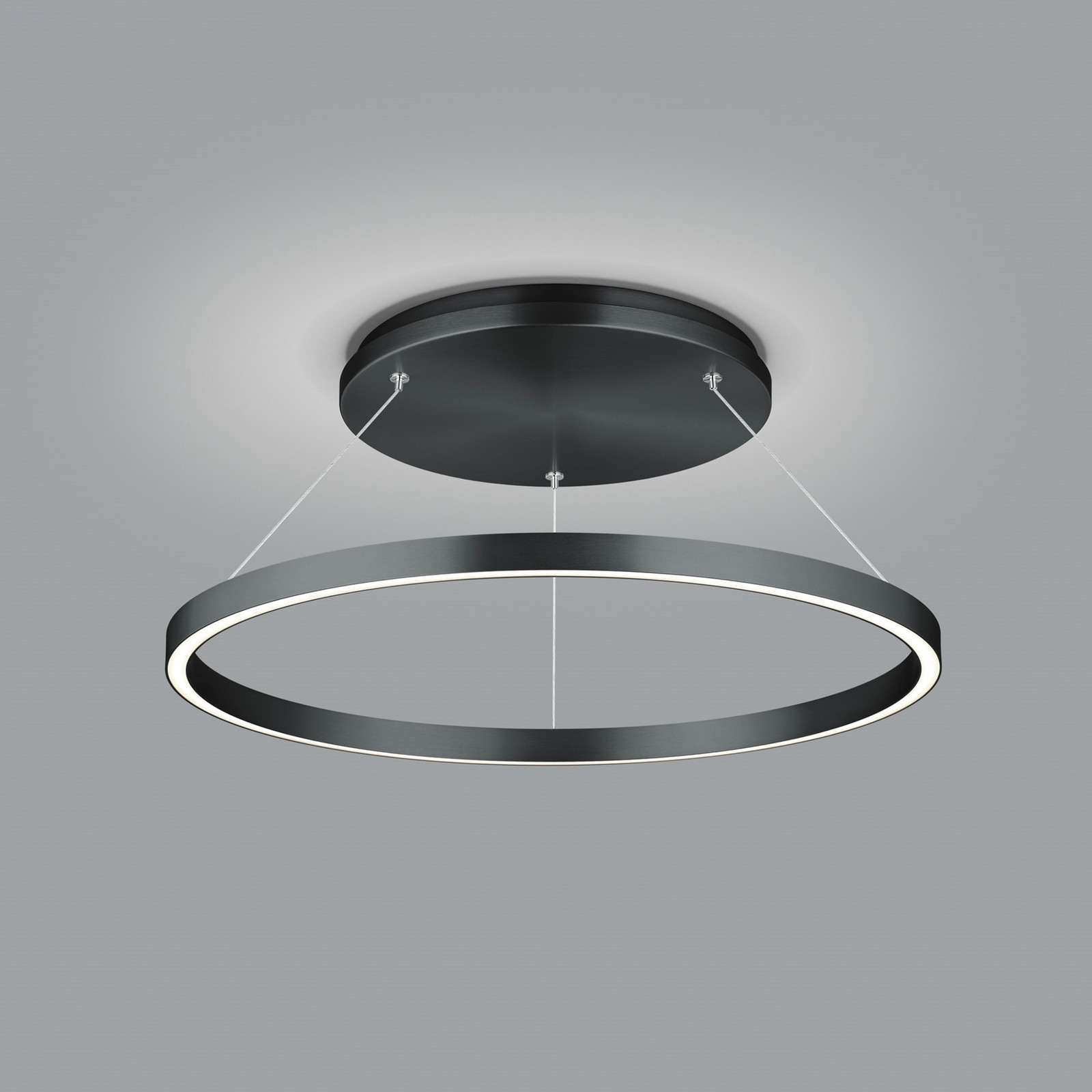 Knapstein Lampă suspendată LED Lisa-D inelară negru - Camera de zi / sufragerie - Modern - Metal