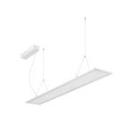 BRUMBERG LED-Pendel Adara 149,5 cm TunableWhite mikroprisma