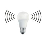 Colors Sensor LED-pære, E27, opal, 2.700 K, 7 W – Halo Design