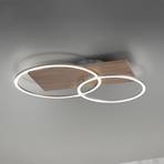 Paul Neuhaus Q-AMIRA LED ceiling light, gold