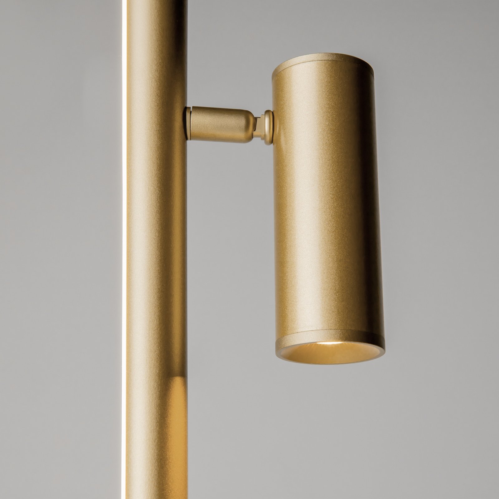 Piantana LED Maytoni Thin, ottone, alluminio, altezza 155 cm, dimmerabile