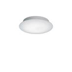 Glasleuchte Plafonieră Ø26 White/Opal Satin - Bankamp