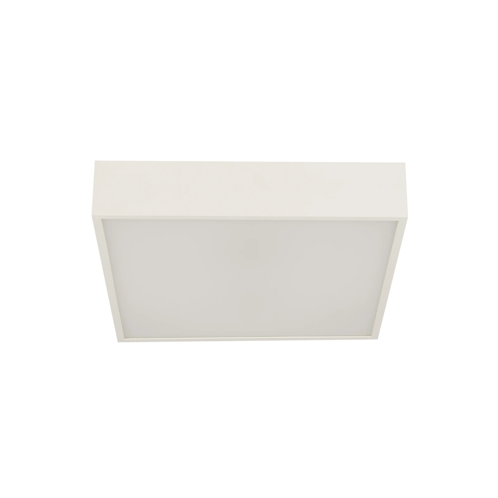 LED vannas istabas griestu lampa Zeus, balta, garums 30 cm, metāls