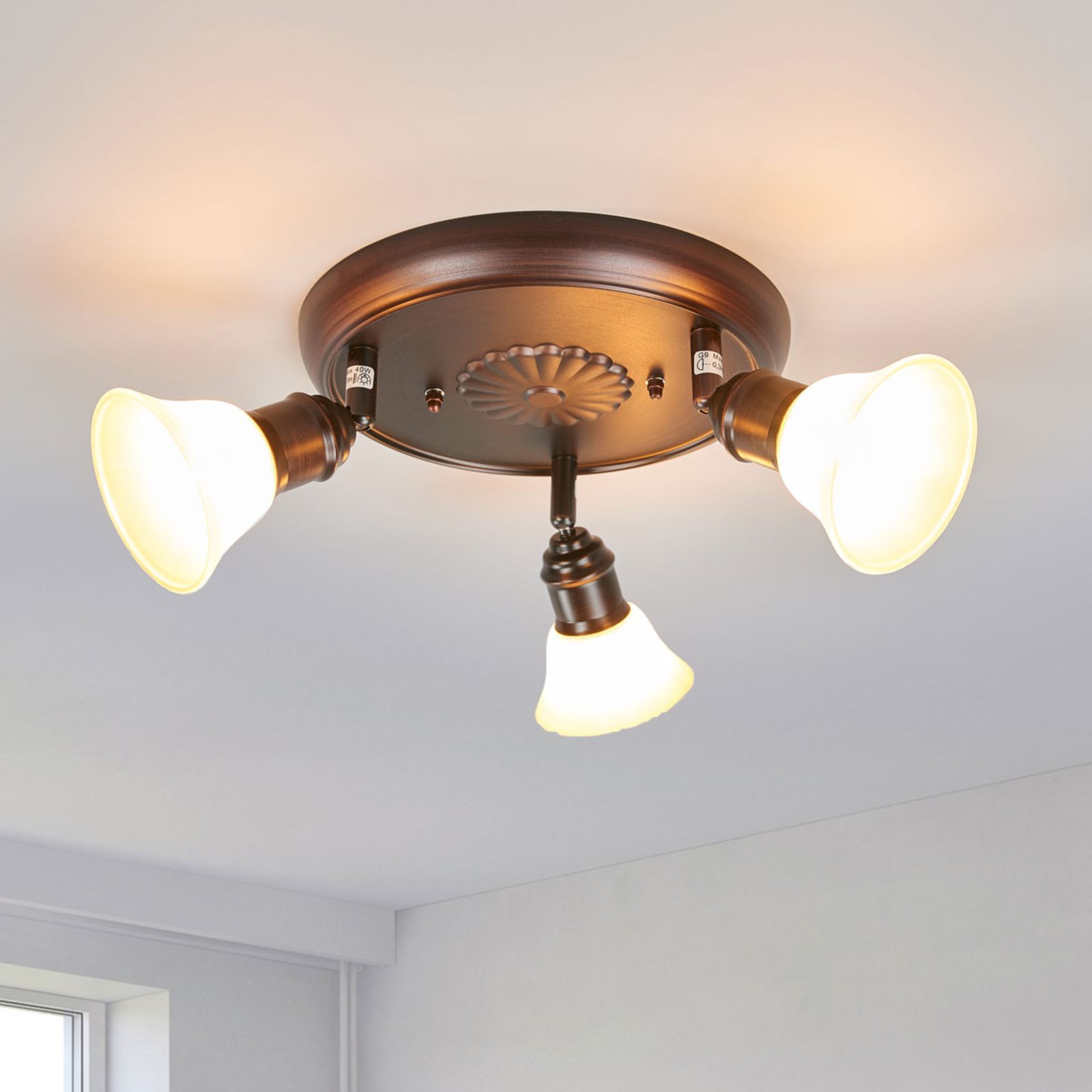 EGLO Rustic ceiling light Elma, for Living / Dining Room, Metal, glass, G9, 40 W, energy efficiency: D