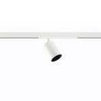 Ivela Microperfetto track spotlight, white DALI 48 V 30° 3,000 K
