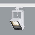 ERCO Logotec 230V LED-Schienenstrahler 12W Flood