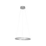 LED-Hängeleuchte Ringlux, Ø 60 cm, 2-flammig, stahl