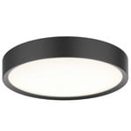 Universal LED Mennyezeti Lámpa Ø43 Black - Halo Design