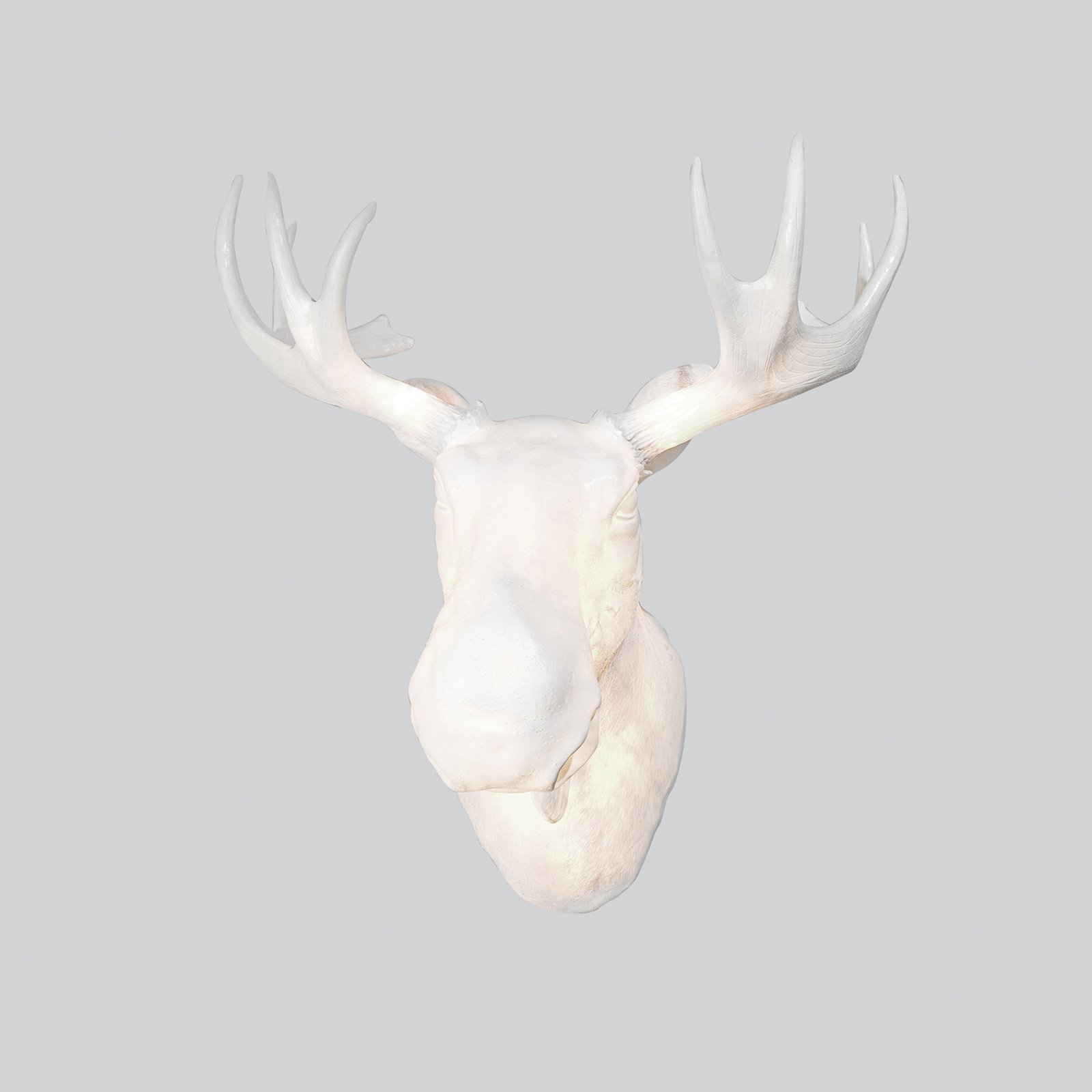 Moo Seinävalaisin - Northern