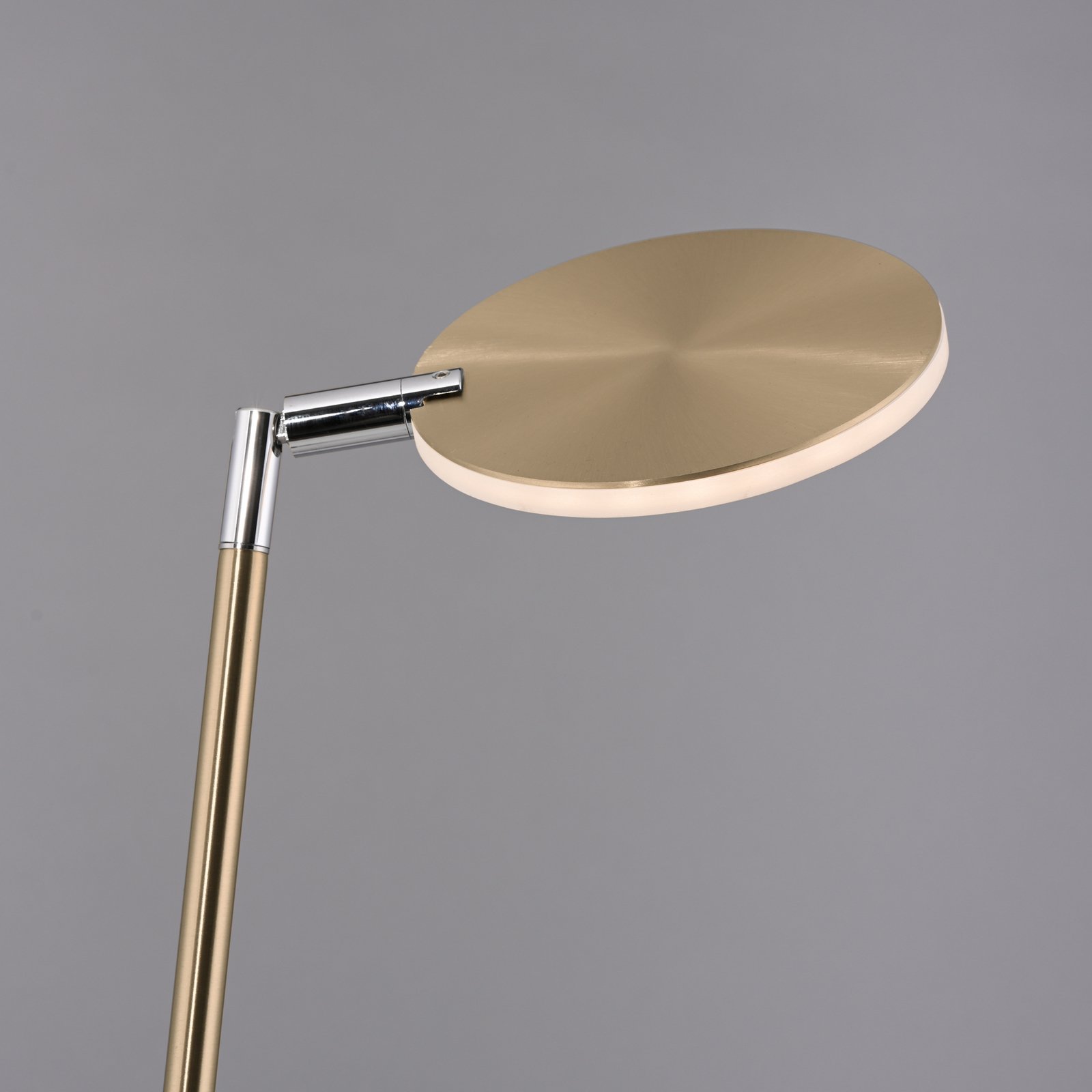 Paul Neuhaus piantana LED Akku-Bente, ottone, CCT, USB-C
