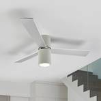 FORMENTERA ceiling fan with remote control