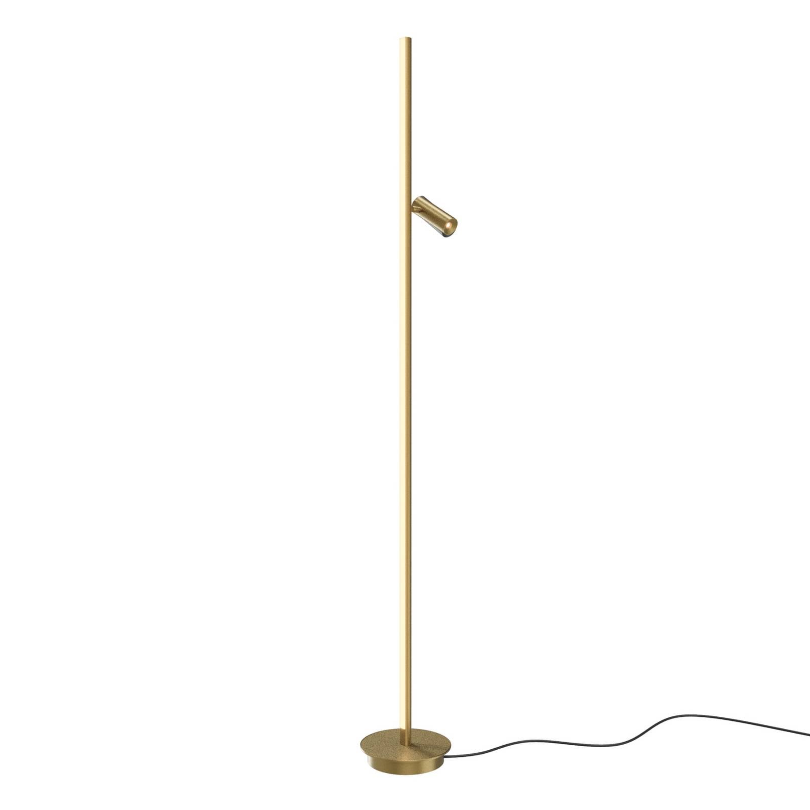 Maytoni LED-Stehleuchte Thin, messing, Alu, Höhe 155 cm, dim