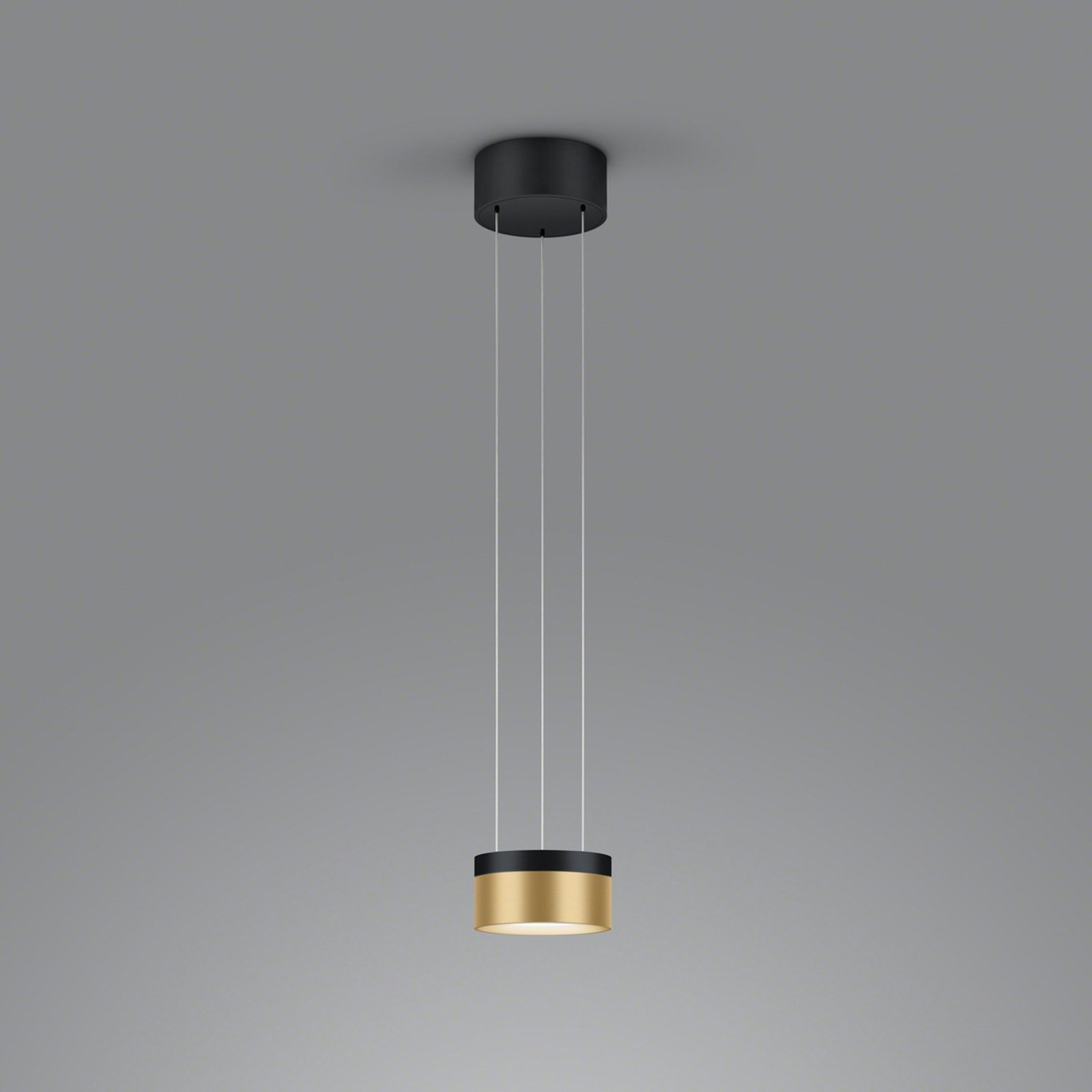 Helestra Oda lampă suspendată LED negru/auriu