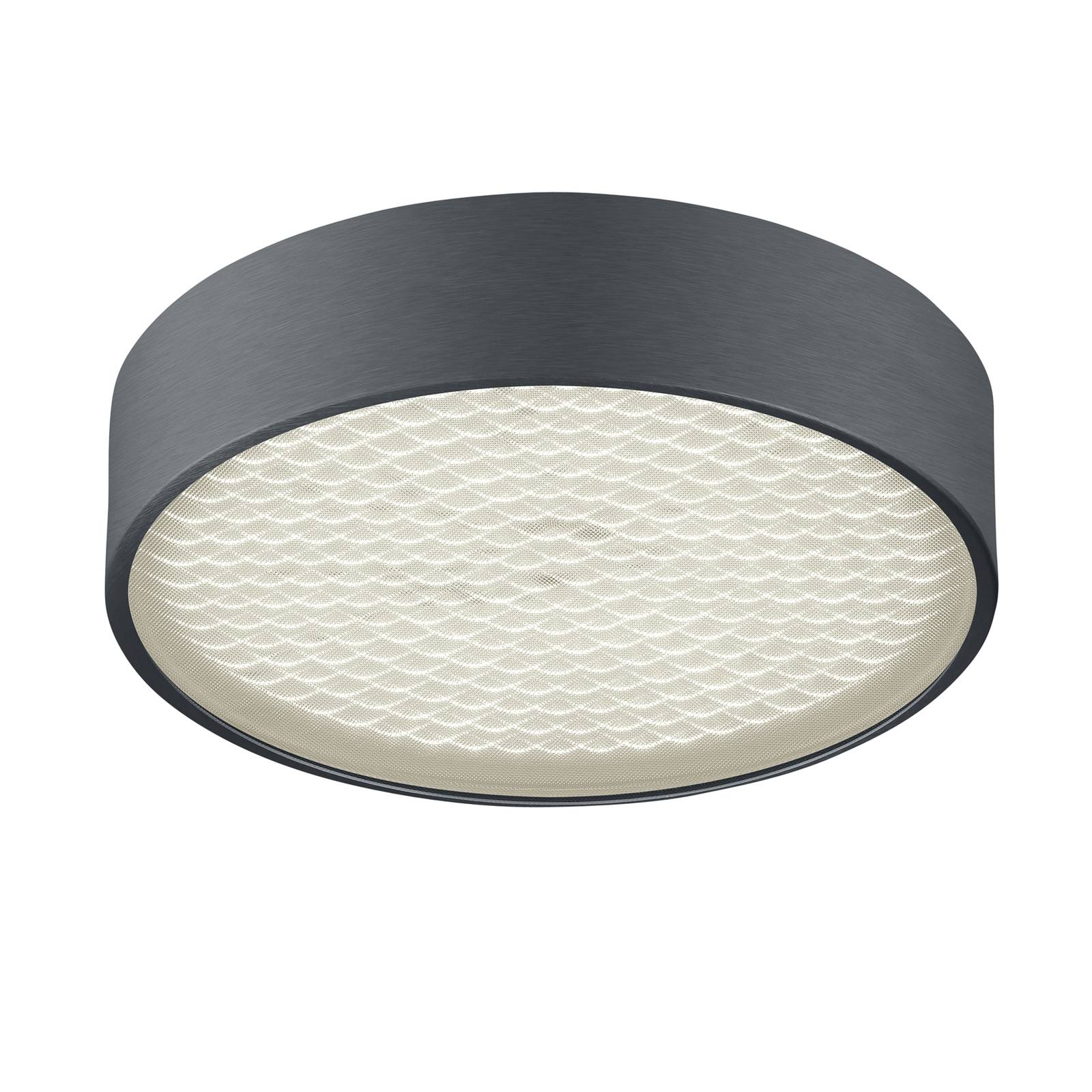 BANKAMP Drum LED-loftlampe mat antracit