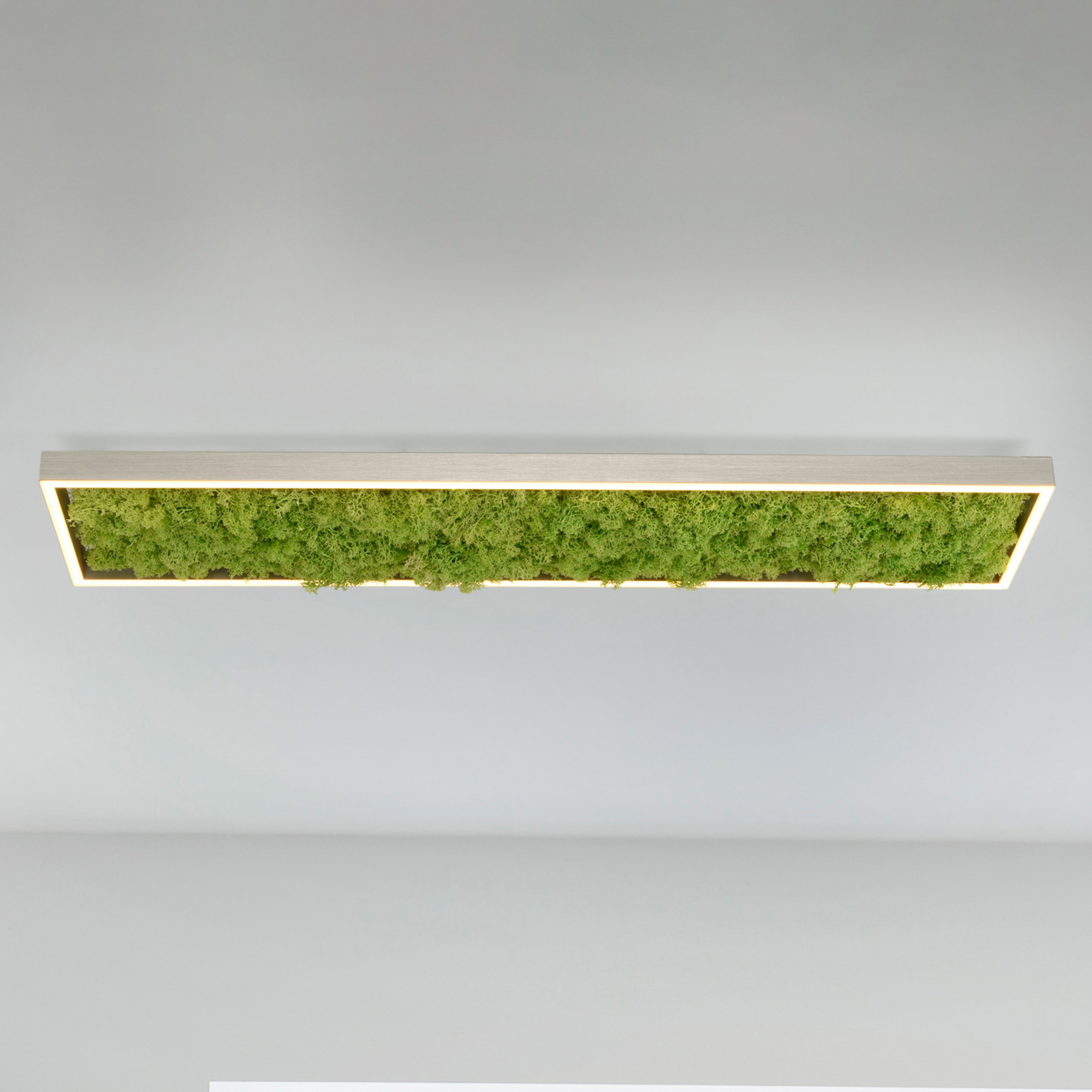 LED-taklampe Green Knut med ekte mose