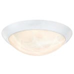 Westinghouse 6106640 Φωτιστικό οροφής LED, λευκό